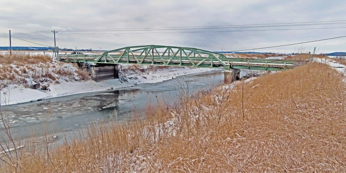 Missouri Highway 111 Bridge Profile